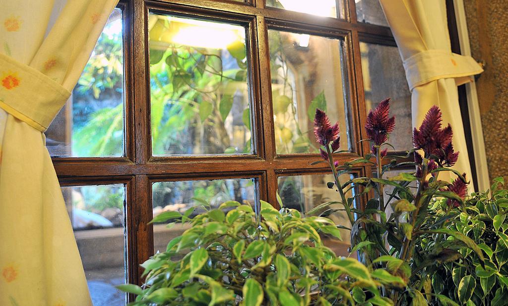 Hotel Gastronomico Casa Rosalia Brion Exteriör bild